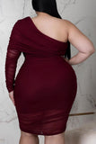Sheer Wine Bodycon Dress